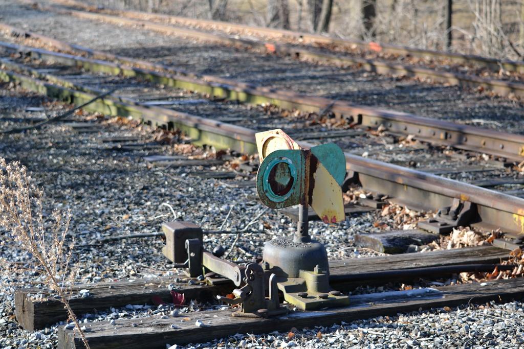 DSC_2584.jpg