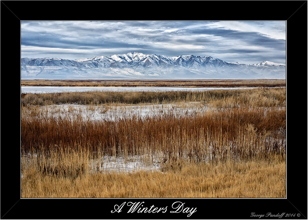 DSC_2585.jpg