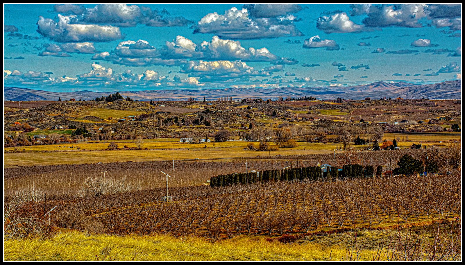 DSC_2586-Edit.JPG
