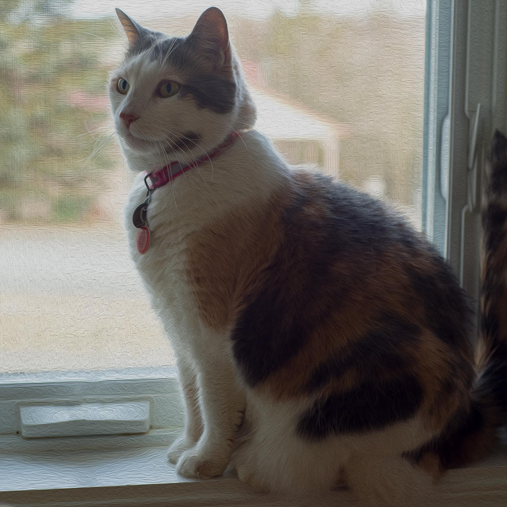 DSC_2593.jpg