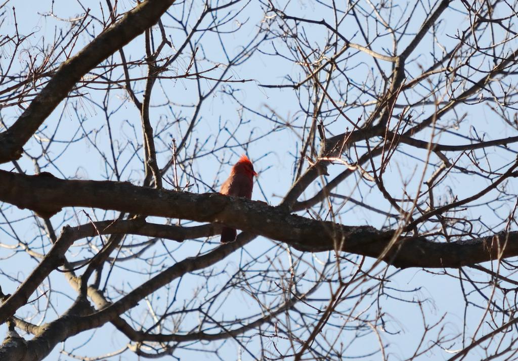 DSC_2596.jpg
