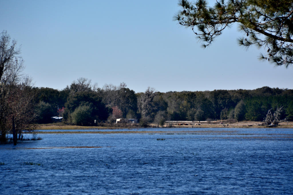 DSC_2597.jpg