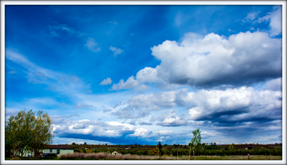DSC_2601.jpg