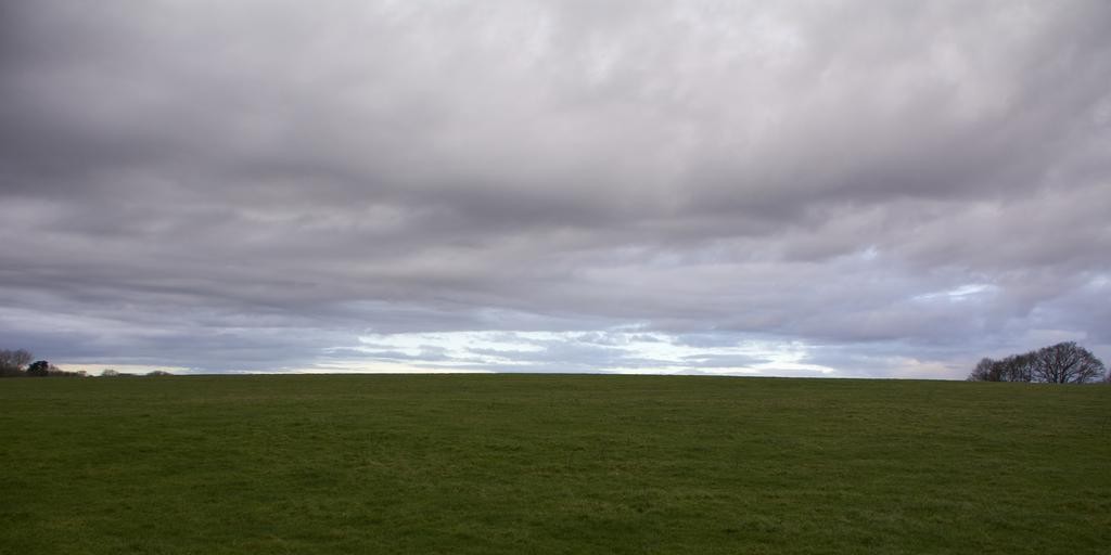 DSC_2604.jpg