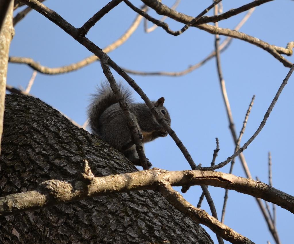 DSC_2605.jpg