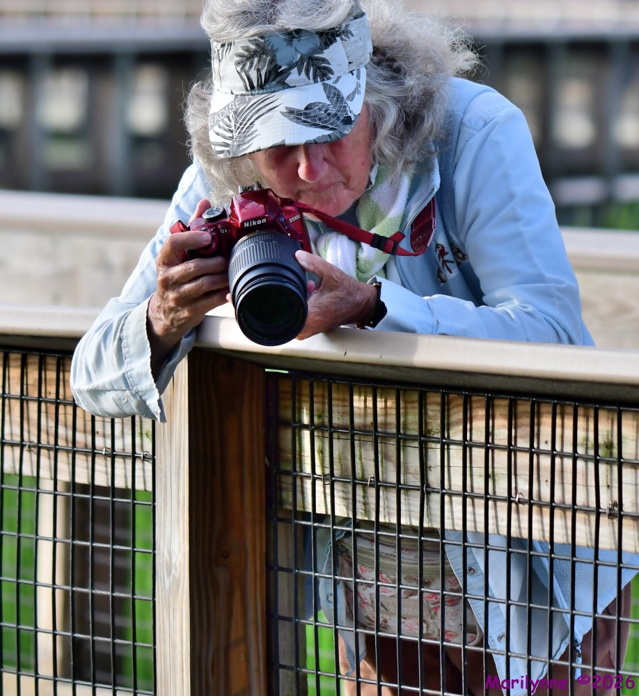 DSC_2610_001.JPG