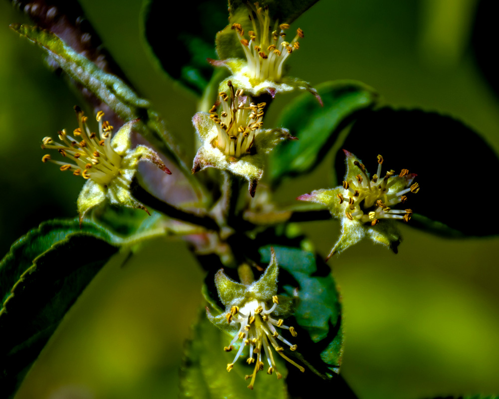 DSC_2613.jpg