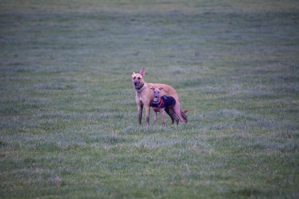 DSC_2613.jpg