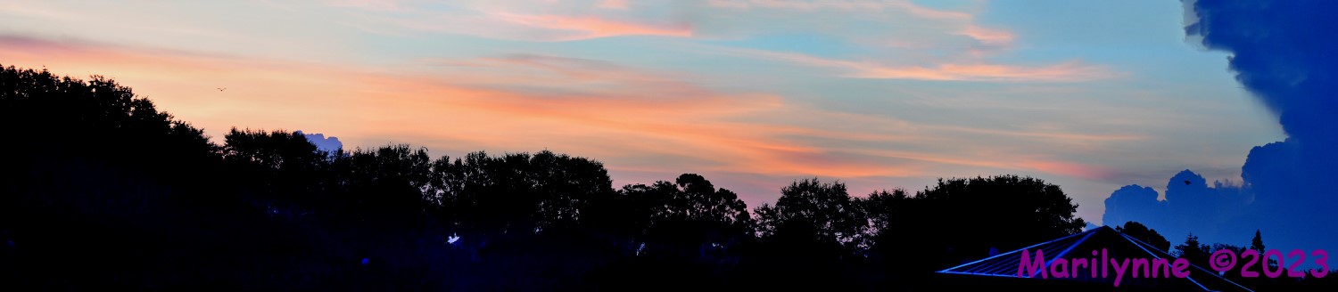 DSC_2613_stitch11_001.JPG