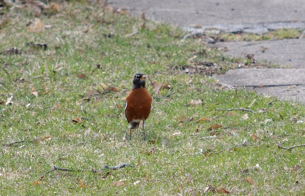 DSC_2615.jpg