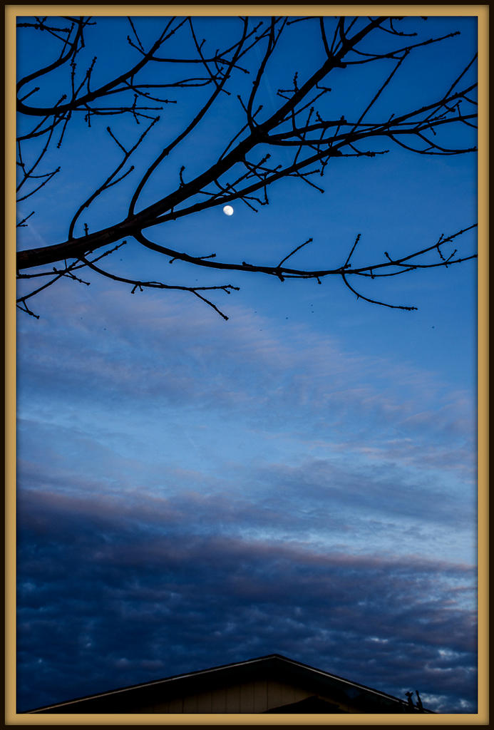 DSC_2621.jpg