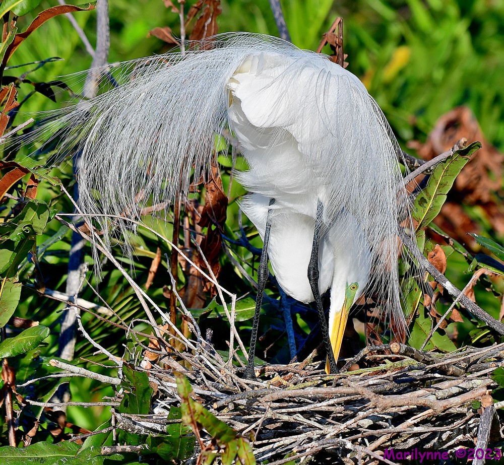 DSC_2624_001.JPG
