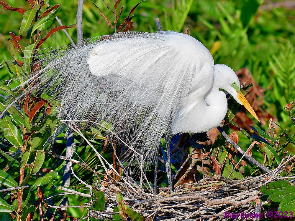 DSC_2625_001.JPG