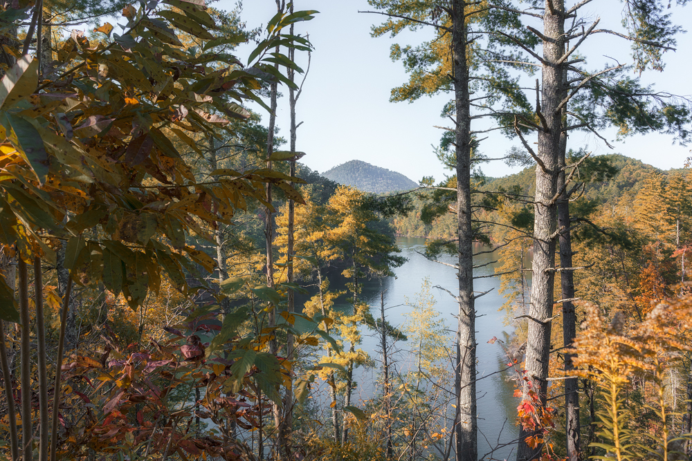 DSC_2628-Edit.jpg