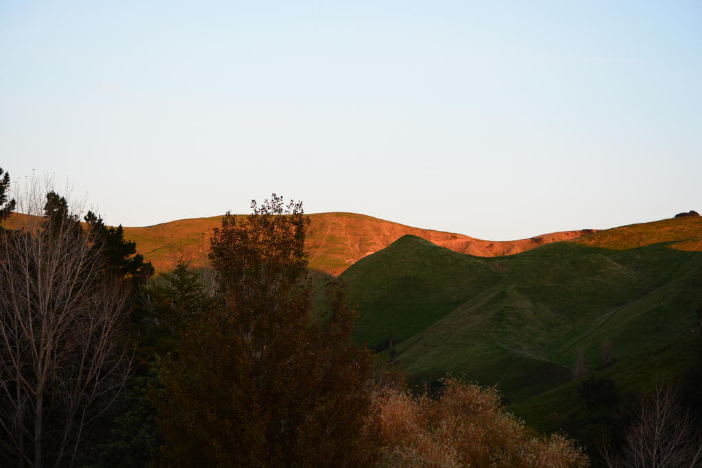 DSC_2629.jpg