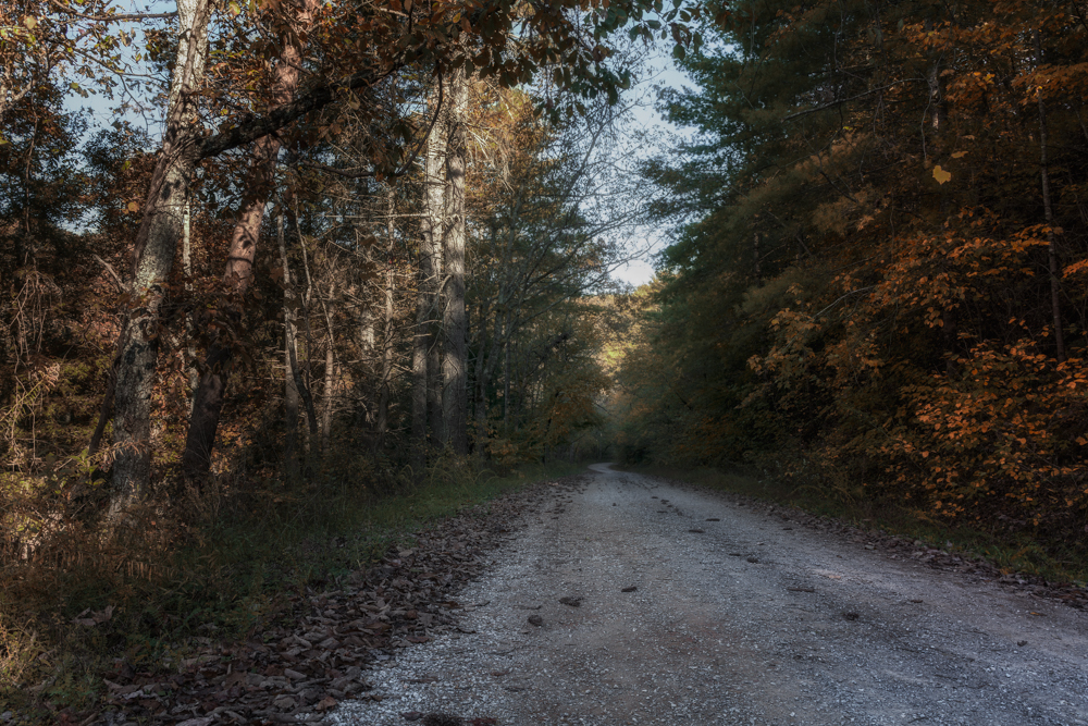 DSC_2632-Edit.jpg