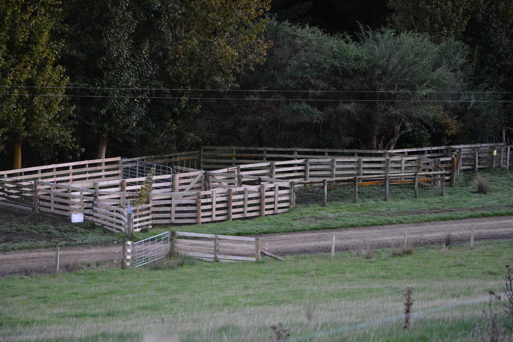 DSC_2634.jpg