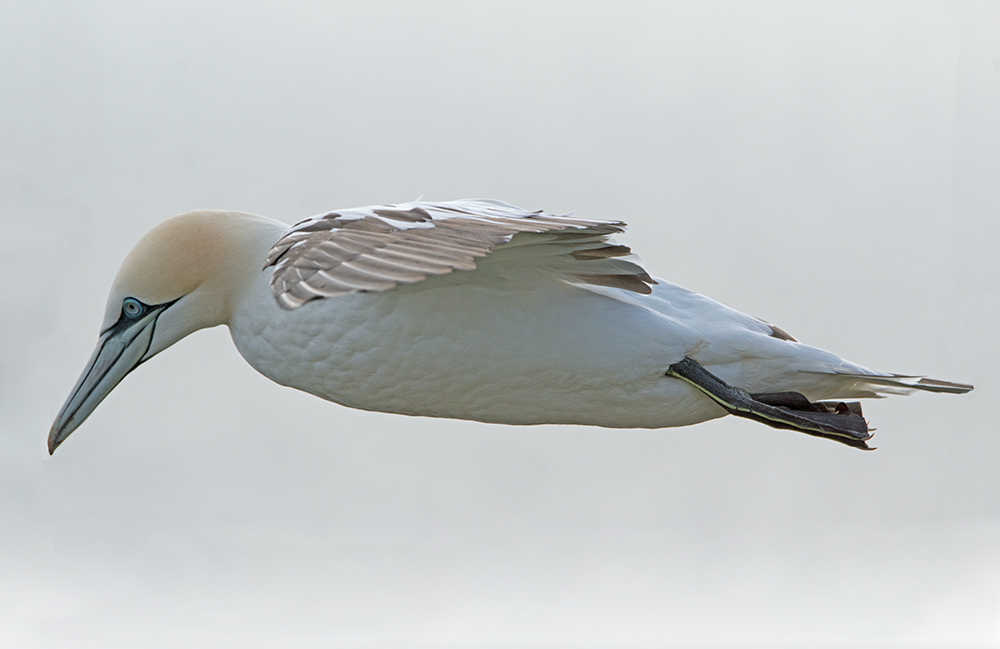 DSC_2639.jpg