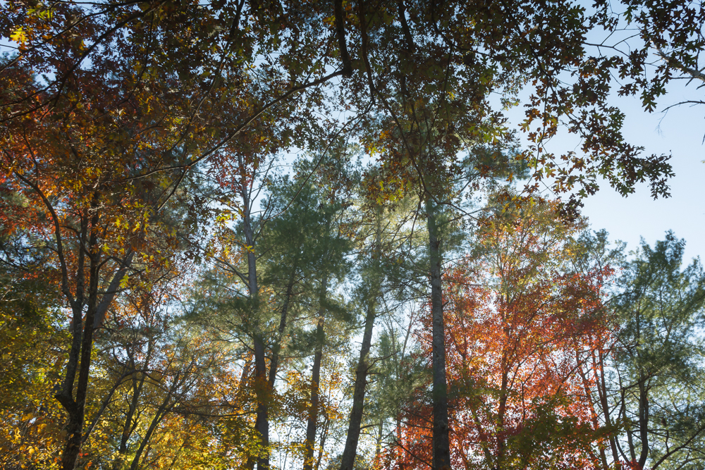 DSC_2641-Edit.jpg