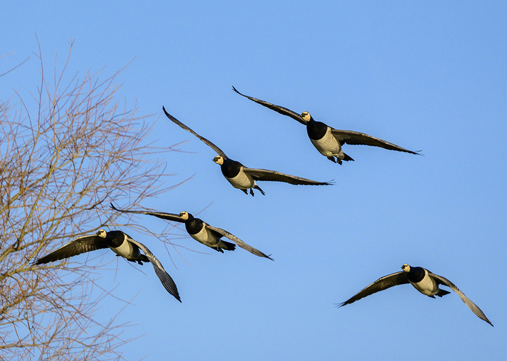 DSC_2644.jpg
