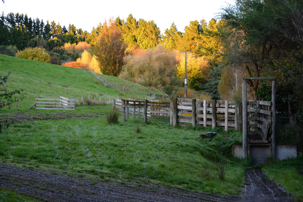 DSC_2644.jpg