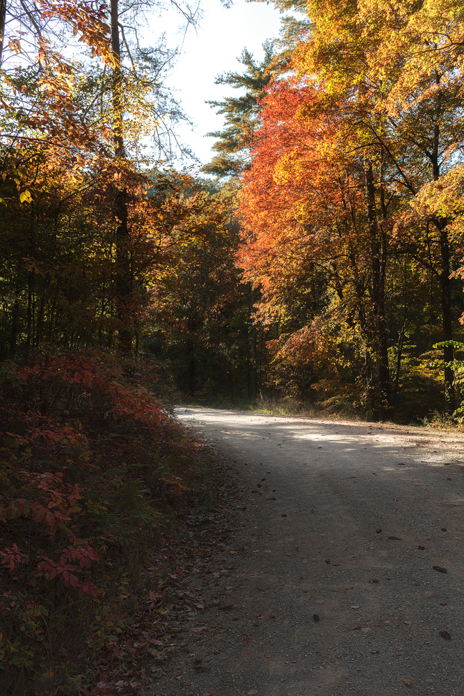 DSC_2645-Edit.jpg