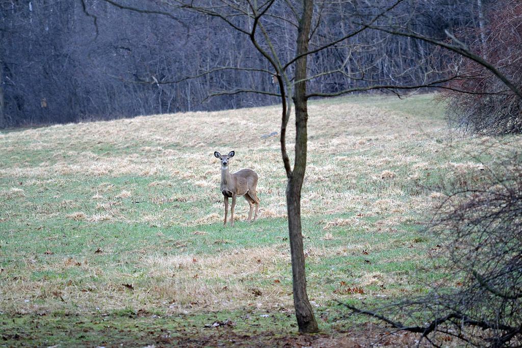 DSC_2645.jpg