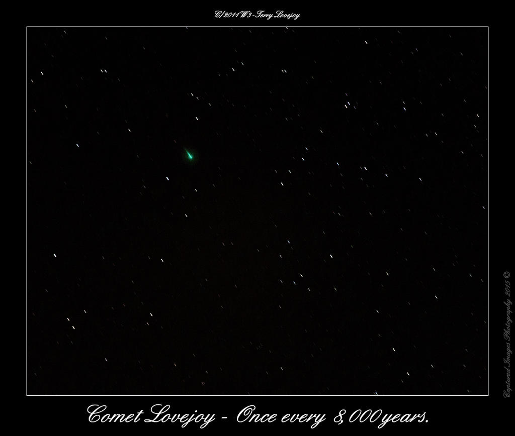 DSC_2649_Lovejoy.jpg