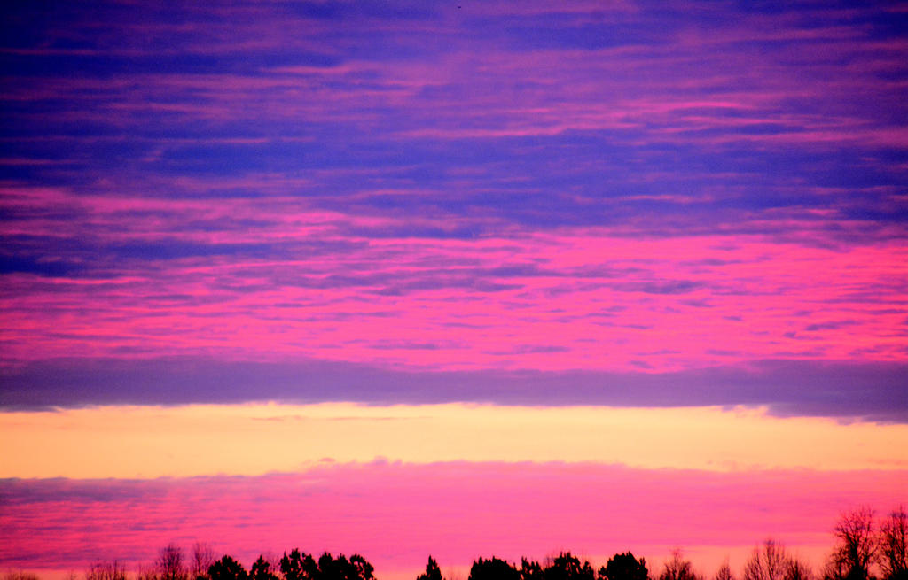 DSC_2655.jpg