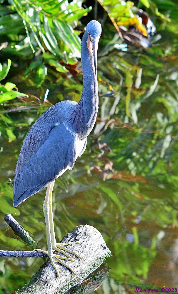 DSC_2657_001.JPG