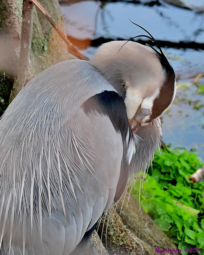 DSC_2661_001.JPG