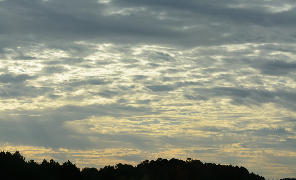 DSC_2663.JPG