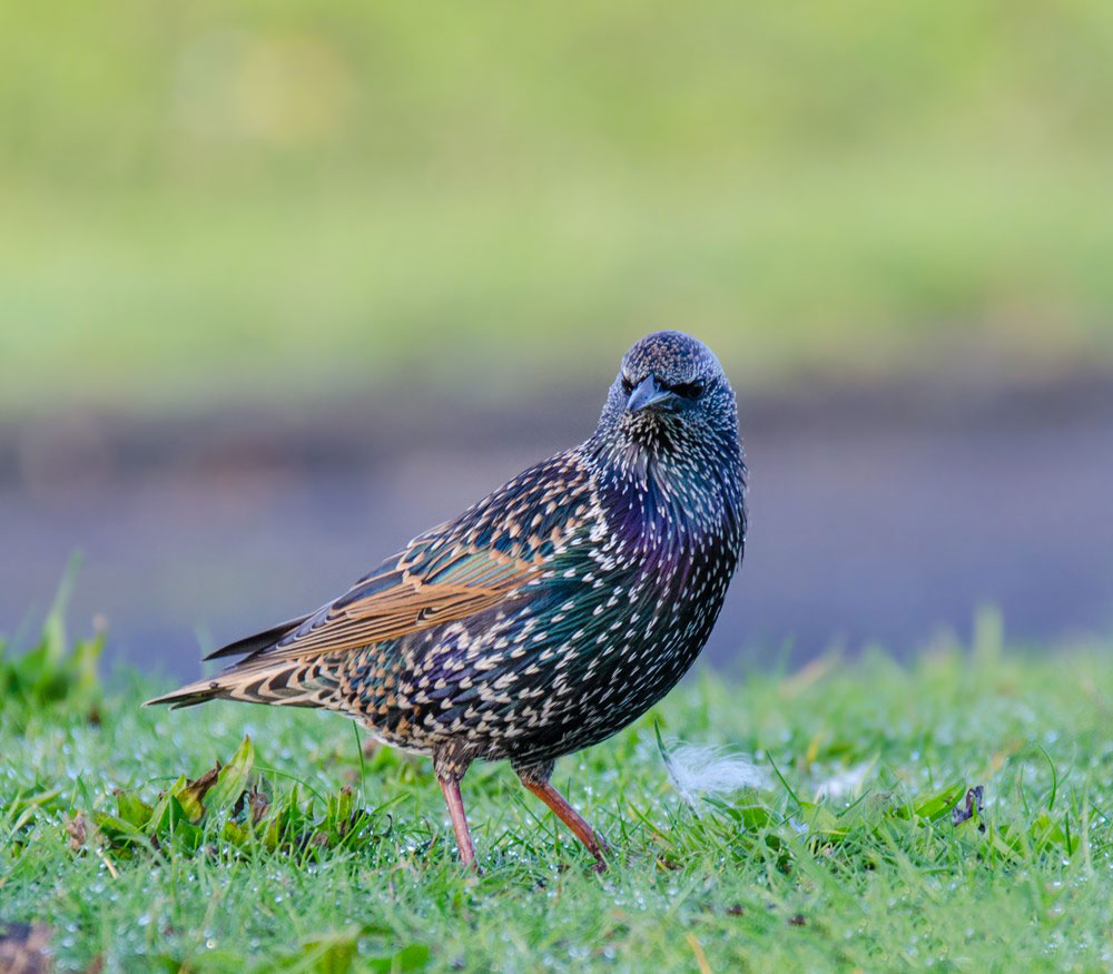 dsc_2664_10921681873_o.jpg