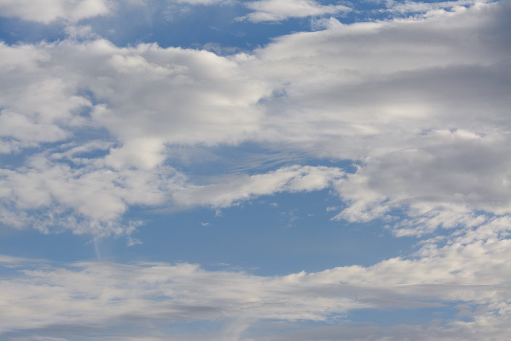 DSC_2665.JPG