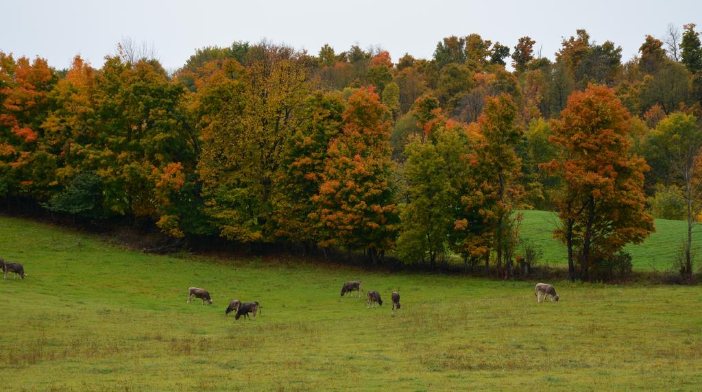 DSC_2671.jpg