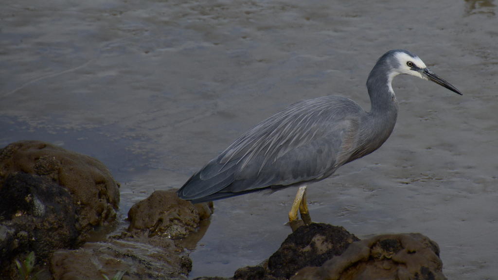 DSC_2671.jpg