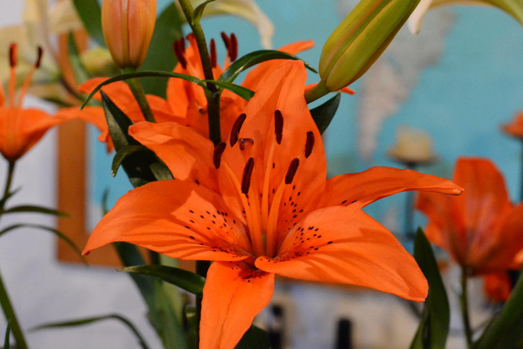DSC_2671.jpg