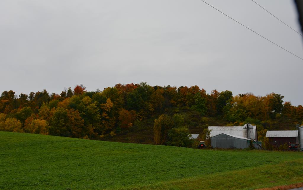 DSC_2672.jpg