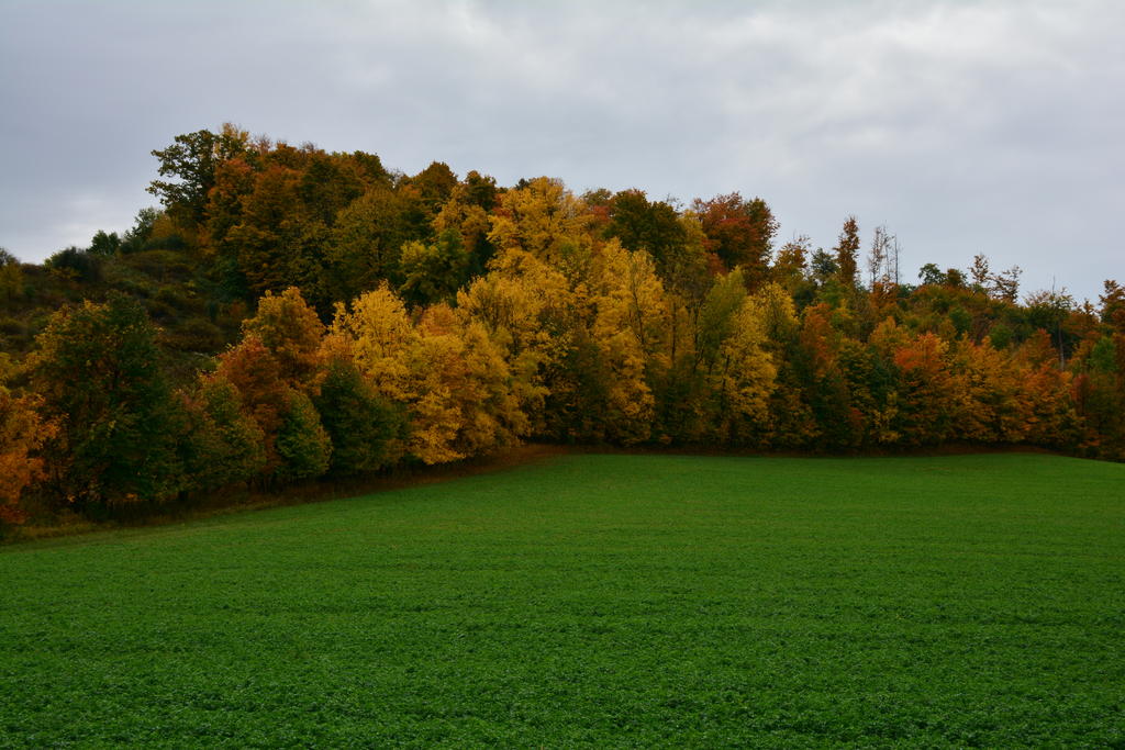 DSC_2674.jpg