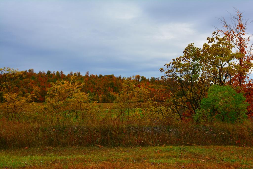 DSC_2675.jpg