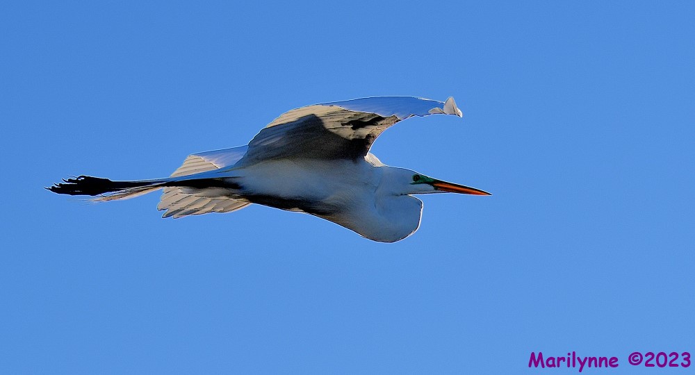 DSC_2682_001.JPG