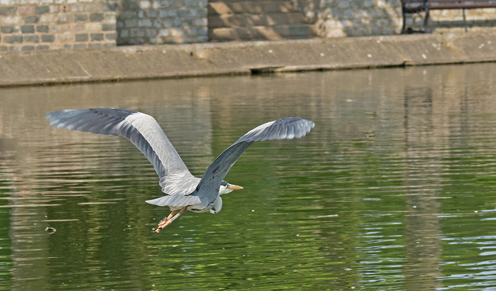 DSC_2689.jpg
