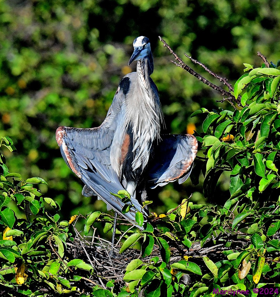 DSC_2691_001.JPG