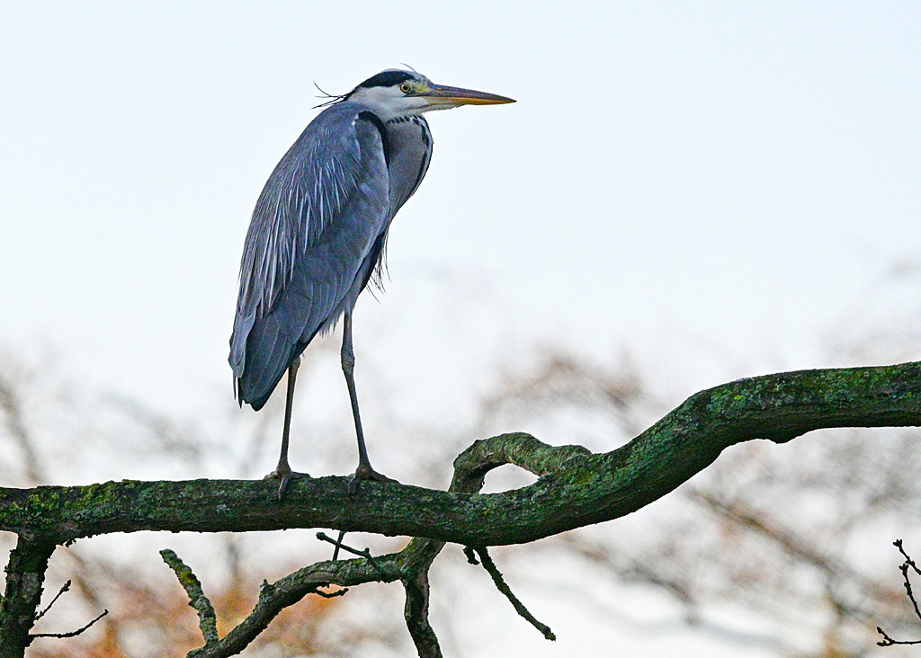 DSC_2692.jpg