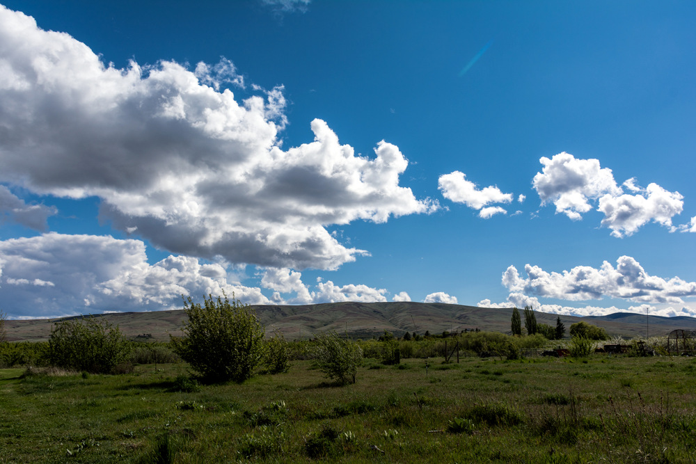 DSC_2693.jpg