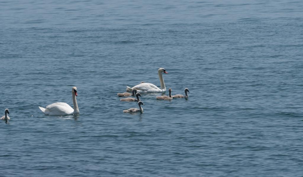 DSC_2695.jpg