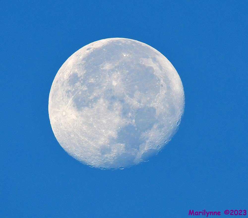 DSC_2696_001.JPG