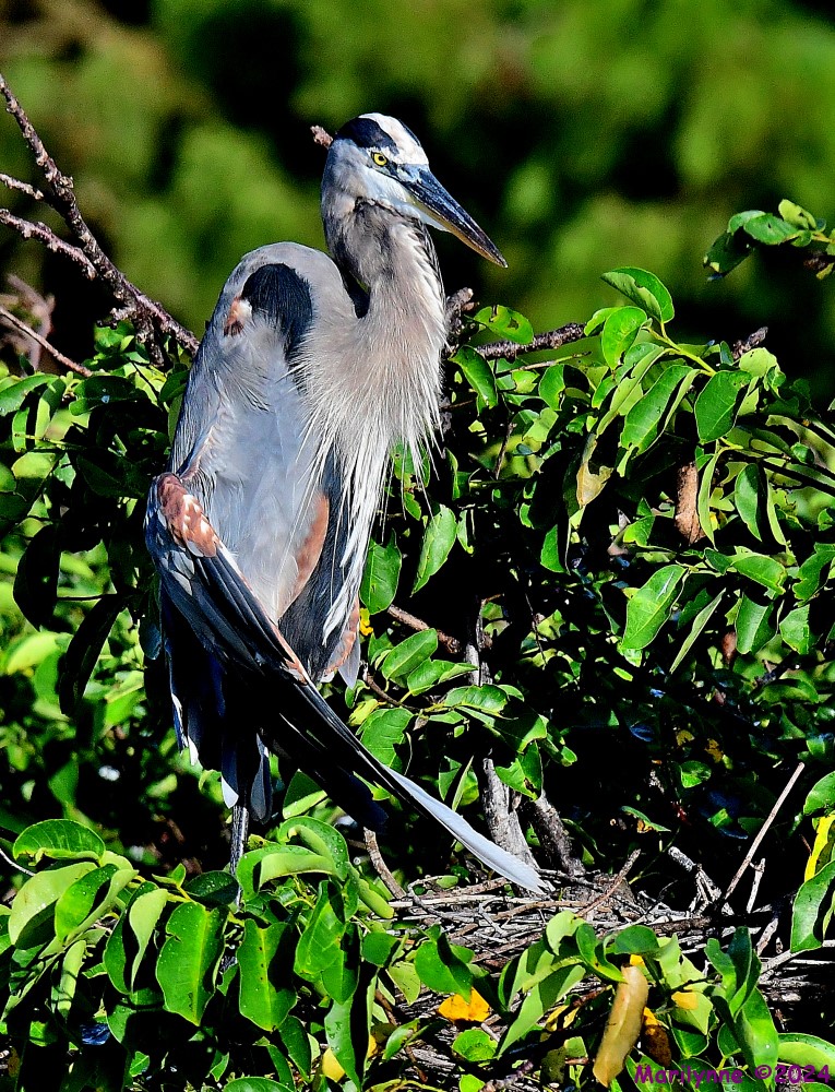 DSC_2699_001.JPG