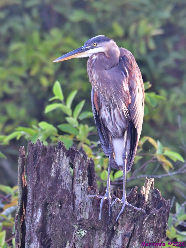 DSC_2700_001.JPG