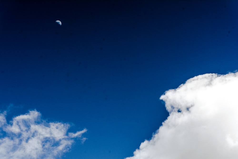 DSC_2702.jpg